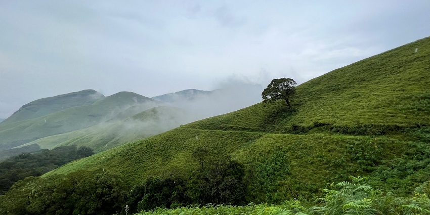 Chandrashila trek's best time is from March to May and September to November.