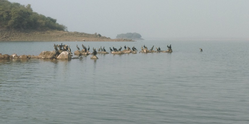 A serene place to visit in Jharkhand.