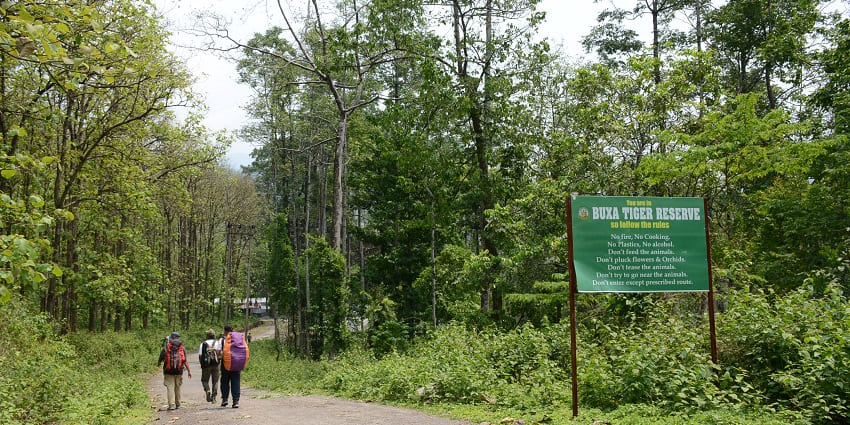 The best time to visit the national park in West Bengal is from October to April.