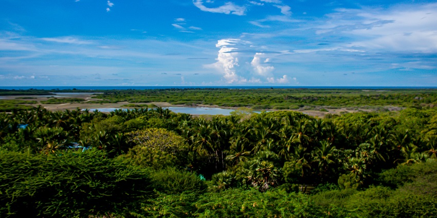 The best time to visit the Gulf of Mannar Marine National Park is from October to March.
