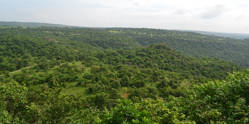 A cinematic shot captured from the top of Vijaygarh Fort.