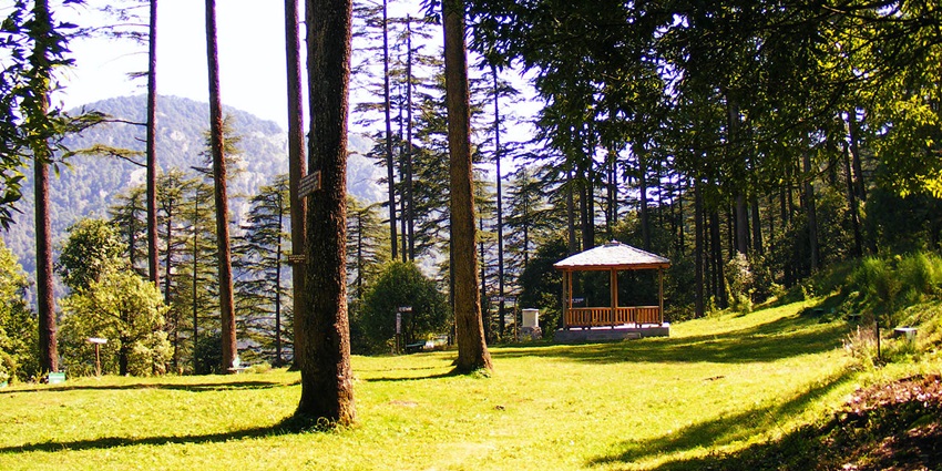 Evening hours for a great exploration near Dhanaulti Adventure Park