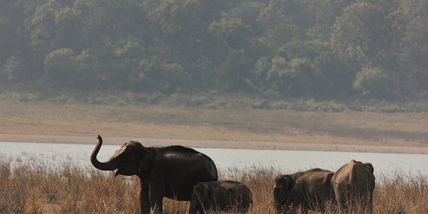 A nature lover’s paradise with rich wildlife and scenic views for travellers