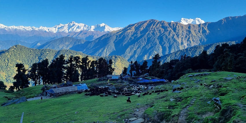 It is a must-have experience of a forest trek rich in flora, fauna, and tranquillity.