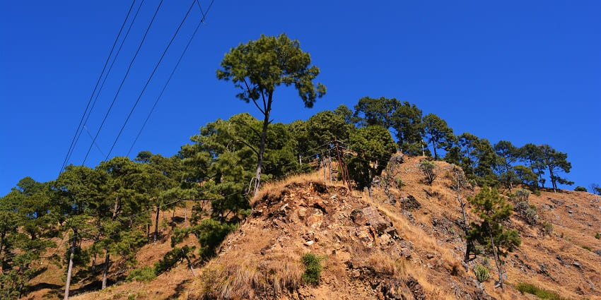 Bhadraj Hill Trek offers panoramic views of the surrounding mountains.