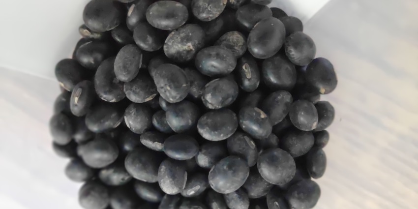 Image of Bhatt Dal also known as black soyabean, a regional favourite dish in Uttarakhand
