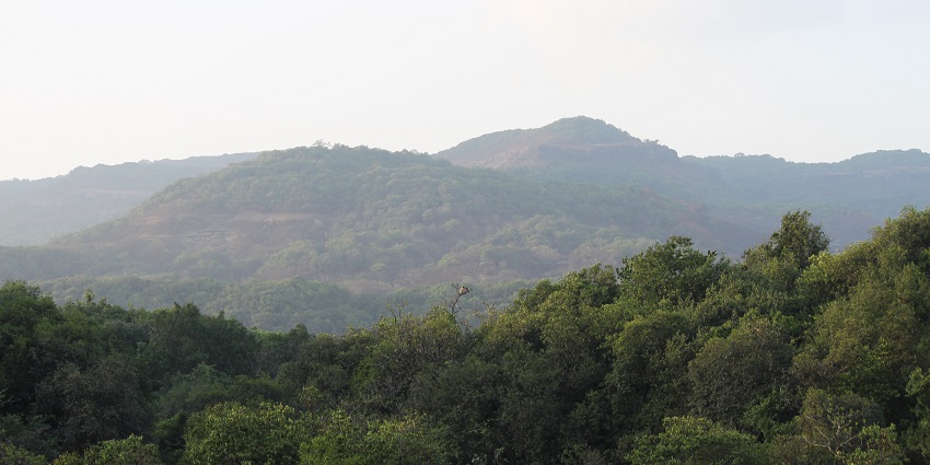 A picture of Bhimashankar Wildlife Sanctuary, well-known for its bio-diversity and sacredness.