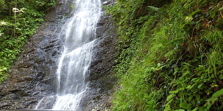A serene waterfall cascading through a lush forest, surrounded by vibrant greenery.