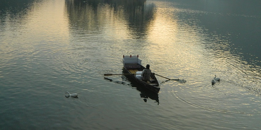 Peaceful and serene experience of boating surrounded by swans at Bhimtal