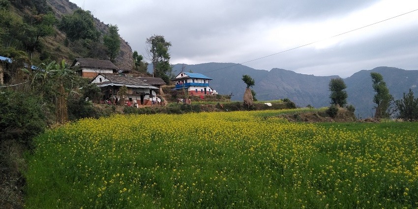 View of the enchanting fields around the quaint villages of Bindu