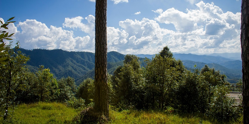 Wildlife sanctuary offering peaceful retreats and stunning mountain scenery in binsar.