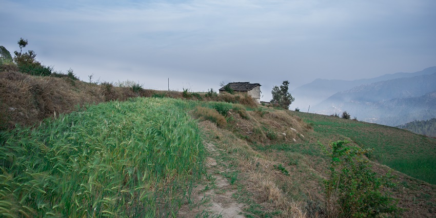 Binsar Trek leads to beautiful forests and stunning mountain vistas.
