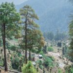 An adventurous trip to Binsar Wildlife Sanctuary in Uttarakhand.