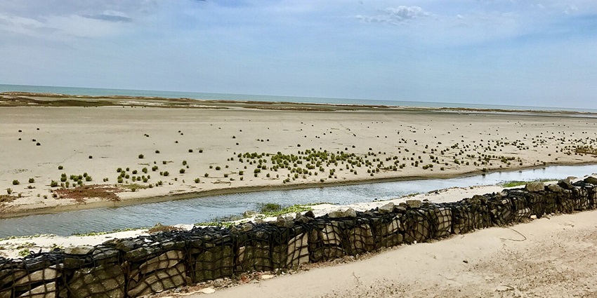 Induge in birdwatching at the wetlands, on the list of things to do in Dhanushkodi