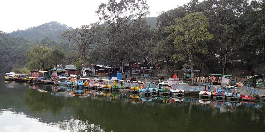 Spot various bird species in beautiful Sat Tal.