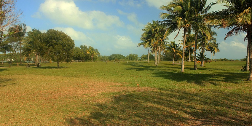 Biscayne National Park with benches, palm trees and surrounded by serene greenery