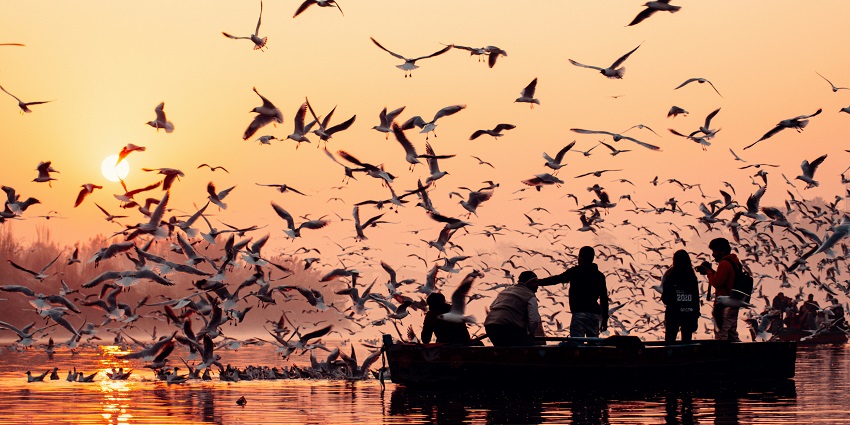 Boating in the divine Yamuna River, is amongst the best things to do in Agra at night.