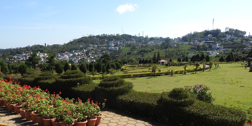 An image showing the Government Botanical Garden, with a beautiful green setting.