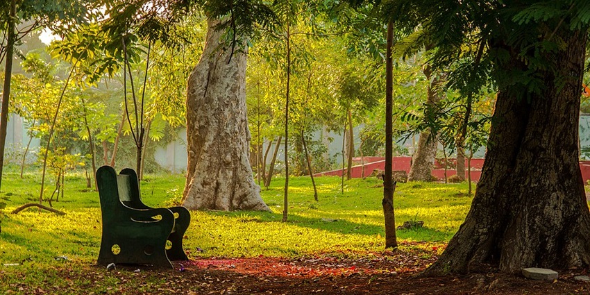 Botanical Garden, showcasing a wide variety of plant species and a toy train for visitors