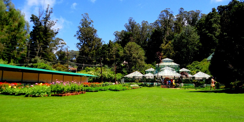 A picture of a vibrant Botanical Garden in Kolli Hills, showcases exotic plants and flowers.