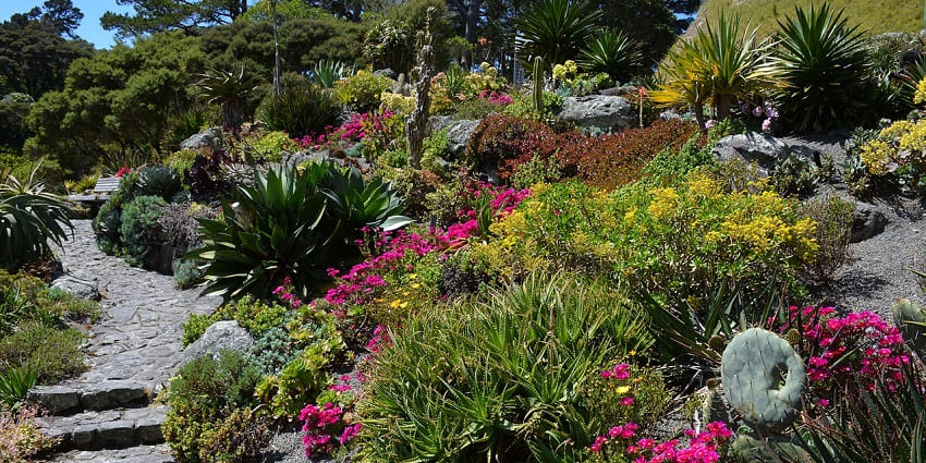 Visit the breathtaking Botanical Garden - one of the places to visit in Chandannagar.