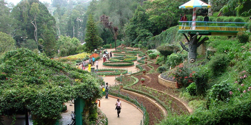 Lush terraced layouts and vibrant flower beds of Ooty’s Botanical Gardens in bloom