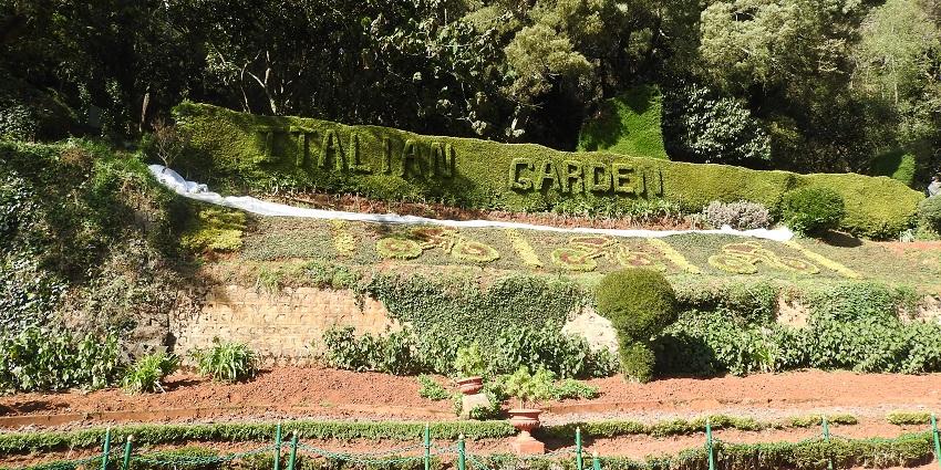 An image of the Botanical gardens, one of the top places to visit in Ooty at night