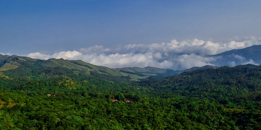 A picture captured from Brahmagiri Hills, showcasing lush green landscapes.