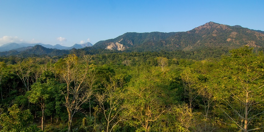 Buxa Tiger Reserve is one of the best places to visit in West Bengal in June.