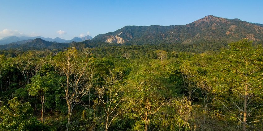 Experience wildlife at Buxa Tiger Reserve, one of the top places to visit in North Bengal