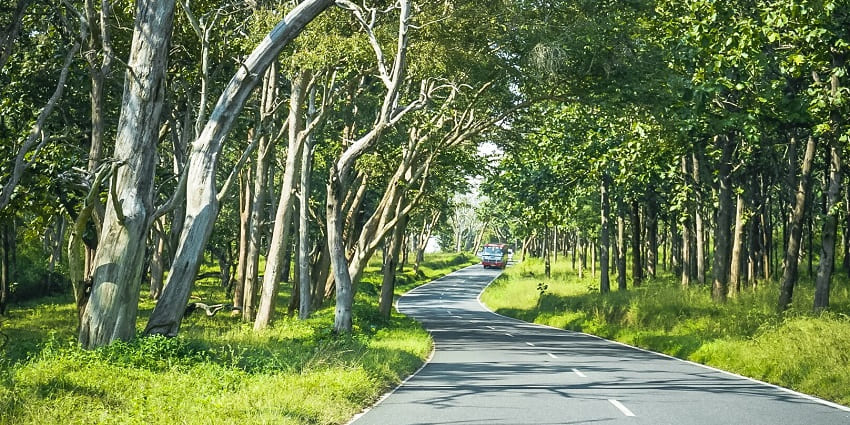 The site of Buxa Tiger Reserve, an offbeat place in Dooars, is a must to visit