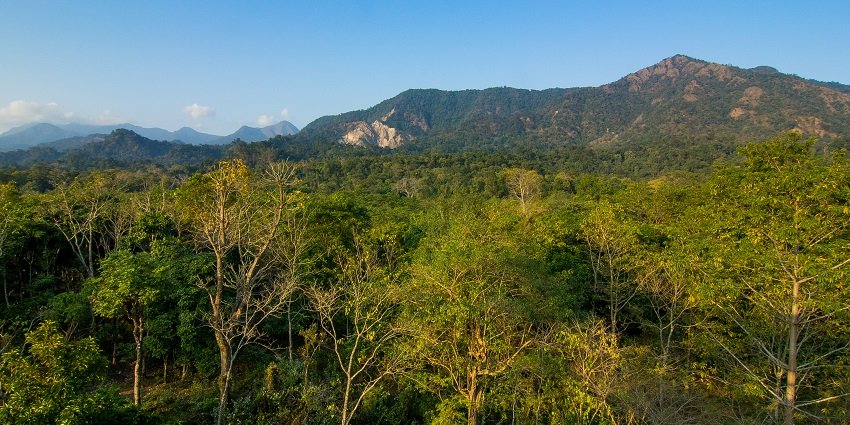 Buxa Tiger Reserve, showcases a diverse ecosystem of West Bengal