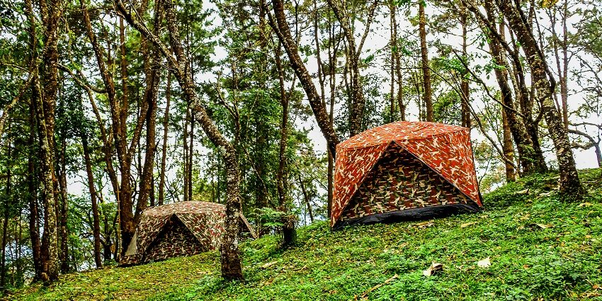 Camping organization providing immersive outdoor experiences in nature