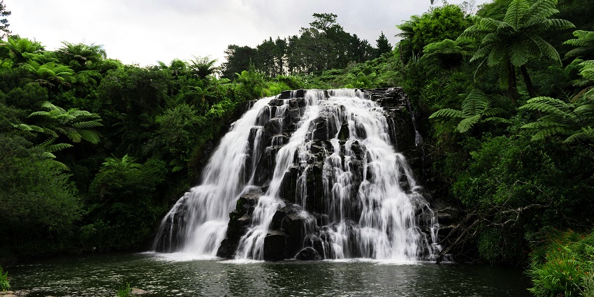 An image of waterfalls - Catherine Falls is Dual-flow waterfall located in Kotagiri