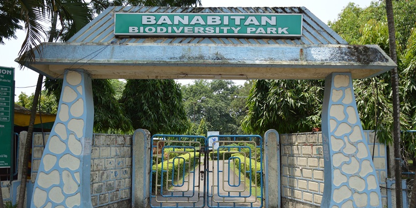 Explore the serene Central Park, one of the peaceful nature parks in Kolkata.