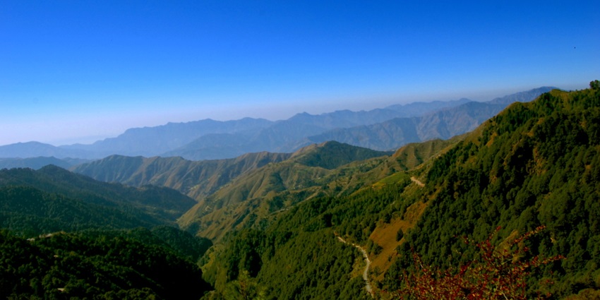 Quiet forest road at Chakrata, flanked by pine trees and misty hills—less crowded hill stations in uttarakhand