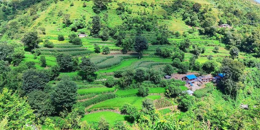 Chakrata, one of the prettiest hill stations near dehradun within 100 kms for travellers.
