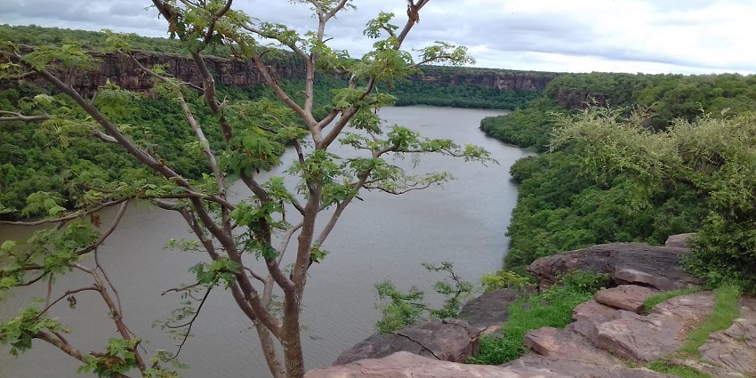 The meandering river adding to the bliss of camping in the Uttar Pradesh