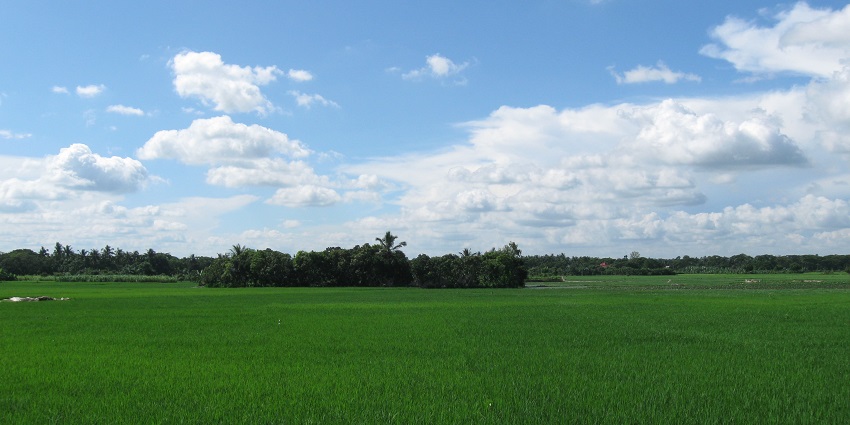 Chandraketugarh is a stunning gem among the best places to visit near Kolkata.