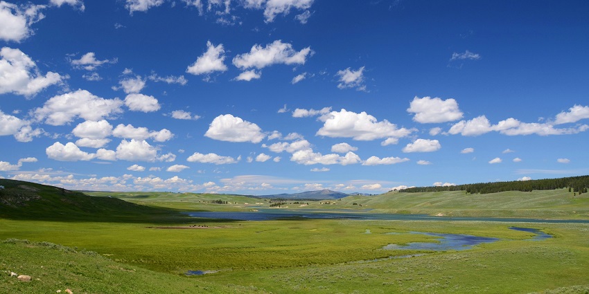 Image representing the h widely spread grasslands of Chandraprabha National Park.