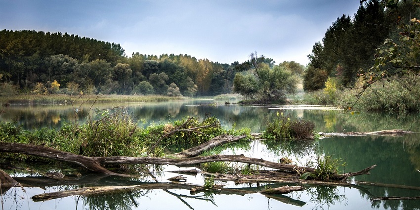 Chapora River offers a scenic view and perfect ambience for relaxation and photography.