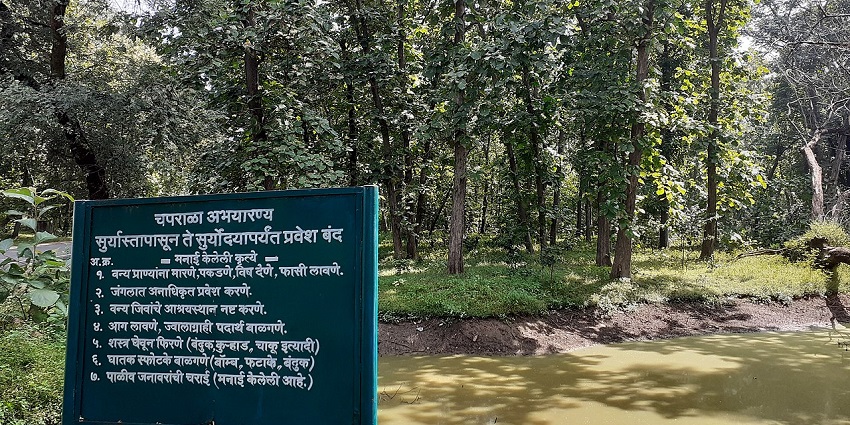 A picture of Chaprala Wildlife Sanctuary, a perfect spot to witness exotic fauna.