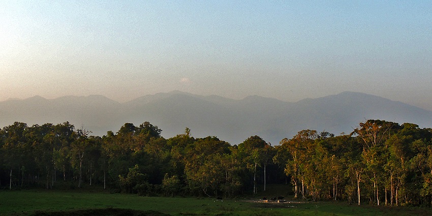Views of the mountains from Chapramari Wildlife Sanctuary near Alipurduar