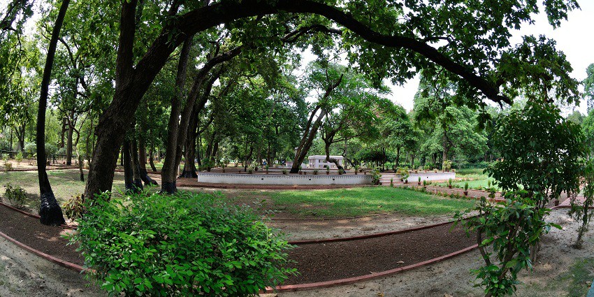 A peaceful place with tall shady trees perfect for meditation or just relaxation.