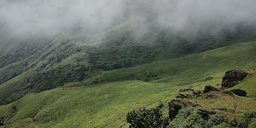 A picture of Chikmagalur, which is one of the most attractive hill stations near Pondicherry.