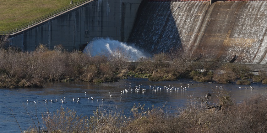 Scenic dam offering picturesque views and outdoor recreation opportunities.