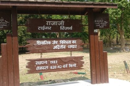 Entrance at Rajaji National Park, where Chilla Wildlife Sanctuary is located