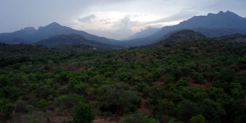 An Image of the Chinnar Wildlife Sanctuary sign board, a gem among Coimbatore wildlife sanctuaries.