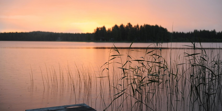 Image of a lake green grass near body of water lake during sunset hour