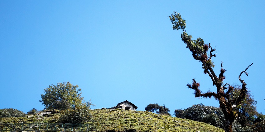Chopta, the Switzerland of India, is popular for its natural splendour and religious significance